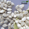 Wholesale Edible Pumpkinseeds In Shell, Large Size